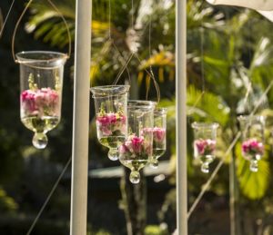 casamentos de Haja Coração