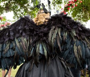 casamentos de Haja Coração